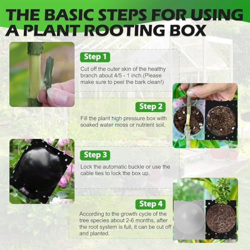HASTHIP® 12PCS Plant Rooting Ball Plant Root Grow Box Reusable Propagation Garden Grafting Tools for Indoor Outdoor Plants Plastic (3 Size S M L) HASTHIP® 12PCS Plant Rooting Ball Plant Root Grow Box Reusable Propagation Garden Grafting Tools for Indoor Outdoor Plants Plastic (3 Size S M L)